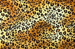 Arm/Leg Pocket for Dexcom/Omnipod/Insulin Pump/Smartphone w/optional window-Cheetah